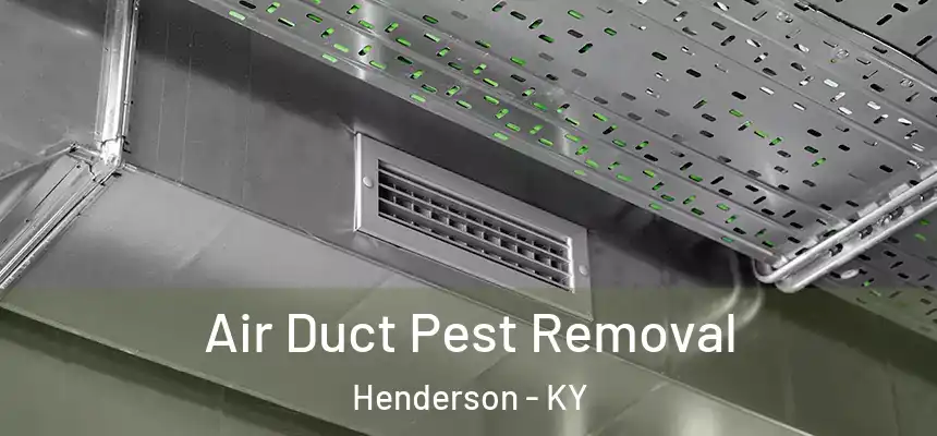  Air Duct Pest Removal Henderson - KY