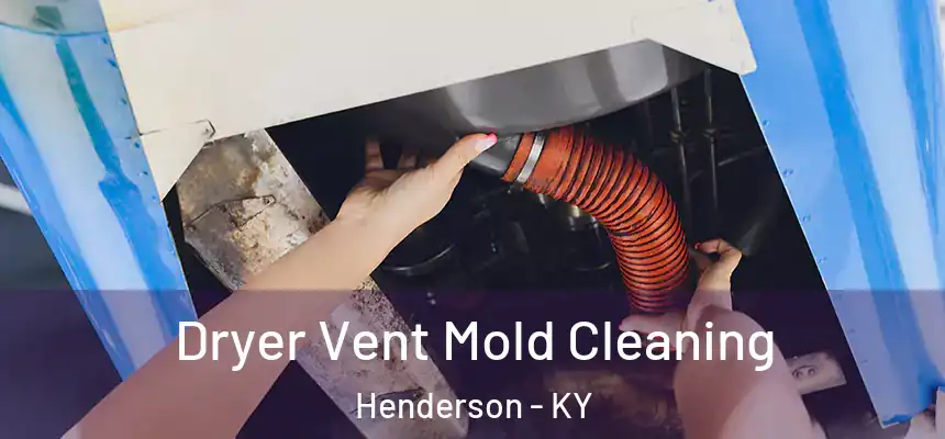  Dryer Vent Mold Cleaning Henderson - KY