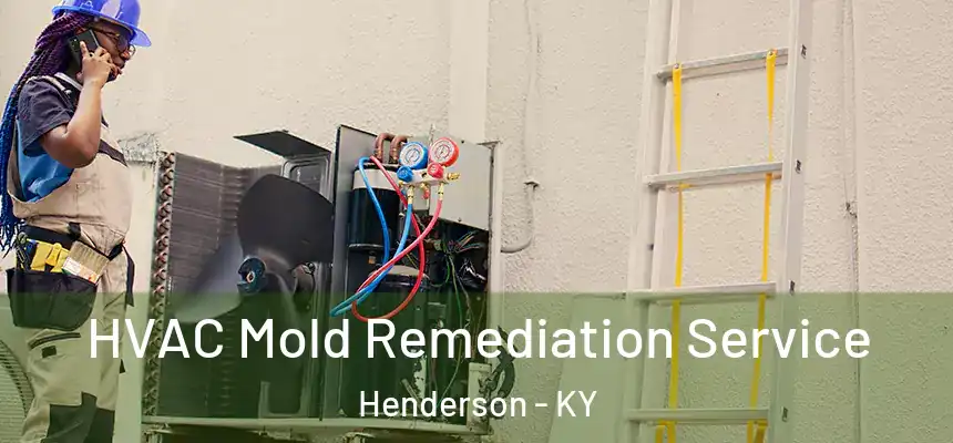  HVAC Mold Remediation Service Henderson - KY