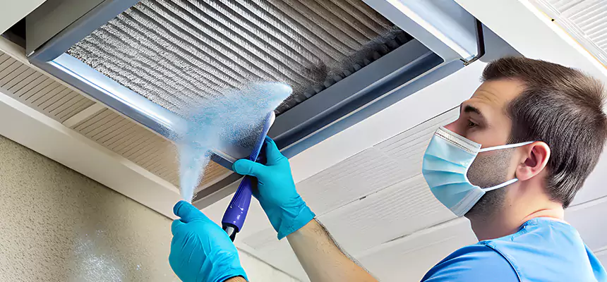 Proactive Dryer Vent & Auxiliary Duct Pollen Cleanup in Henderson, KY