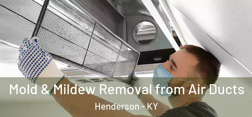  Mold & Mildew Removal from Air Ducts Henderson - KY