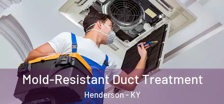  Mold-Resistant Duct Treatment Henderson - KY