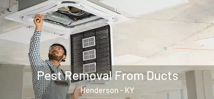 Pest Removal From Ducts Henderson - KY