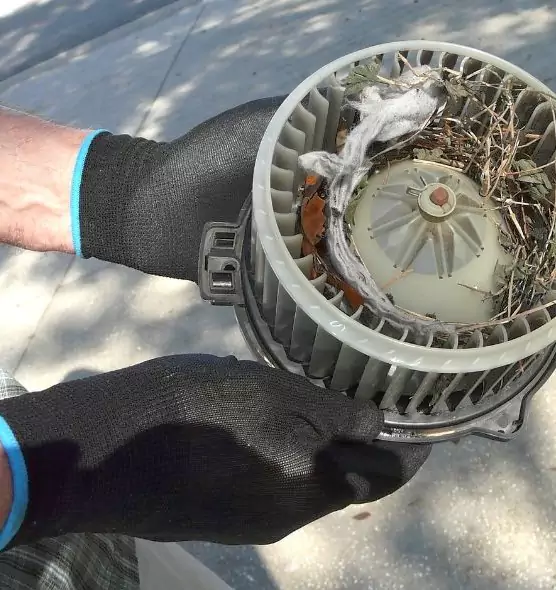 About Air Duct Mice Removal in Henderson, KY