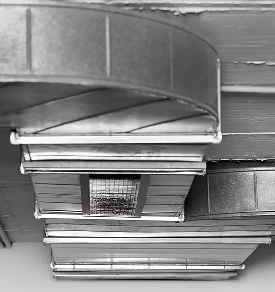 Professional Air Duct Pest Removal in Henderson, KY