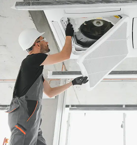 About Air Duct Rodent Removal in Henderson, KY