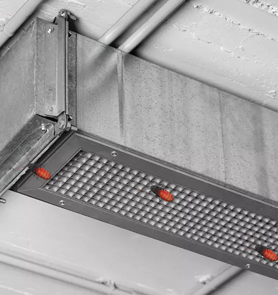 Affordable Insect Removal from Air Ducts in Henderson, KY