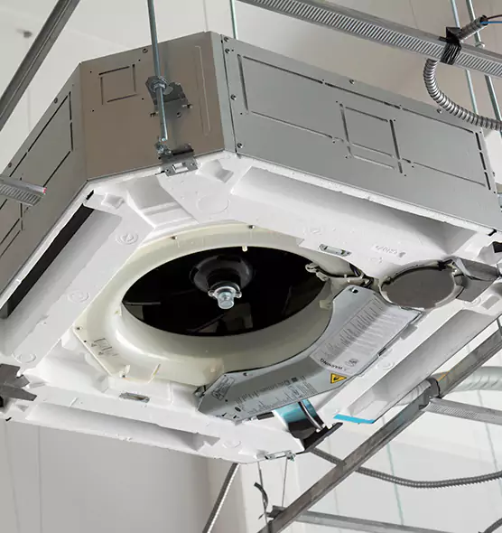 Professional Roof Vent Lint Removal Henderson, KY