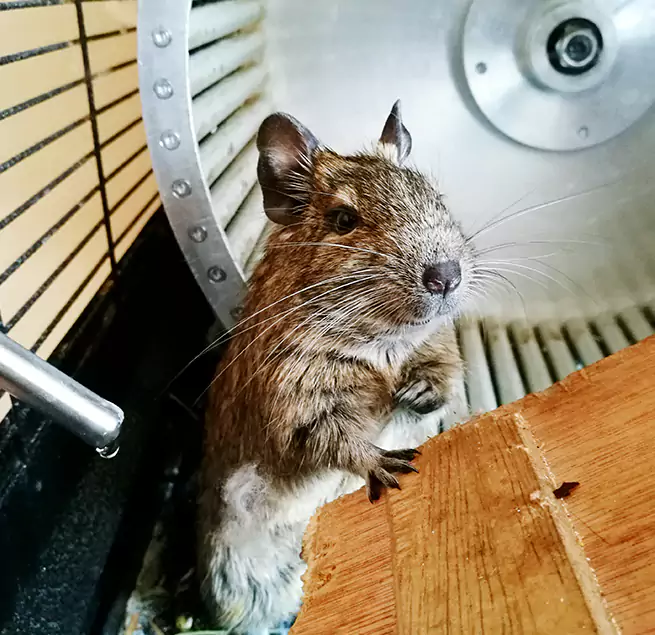 Why Homeowners & Businesses Trust Us Henderson, KY