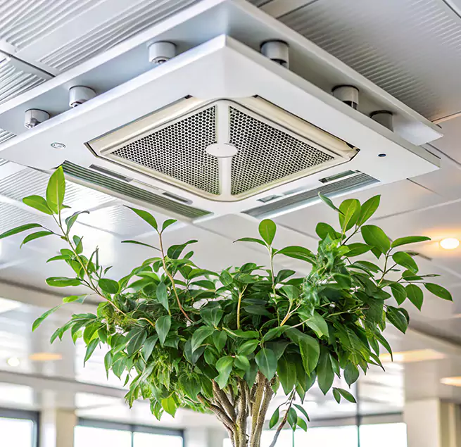 Why Homeowners & Businesses Trust Us in Henderson, KY?