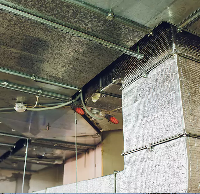 Why Homeowners & Businesses Trust Us Henderson, KY?