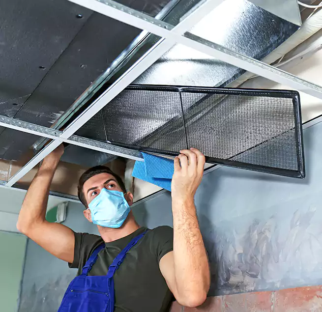 Why Homeowners Businesses Trust Us in Henderson, KY